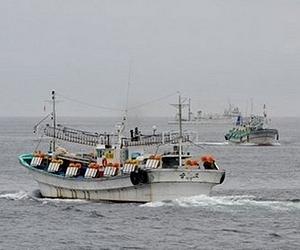 Fishermen adrift after typhoon takes livelihood