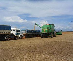 Contemplating the Brazilian dilemma: Abundant grain but inadequate storage
