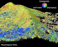 Mapping functional diversity of forests with remote sensing