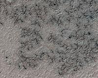 Citizen Scientists Seek South Pole Spiders on Mars