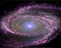 Black Holes Have Simple Feeding Habits