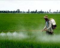 Could smell hold the key to ending pesticide use