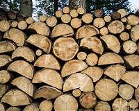 Wood products mitigate less than 1% of global carbon emissions
