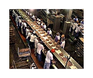 Tinned tuna not always as labelled: report