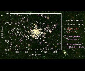 Ultra-compact dwarf galaxies are bright star clusters