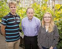 Scientists engineer crops to conserve water, resist drought