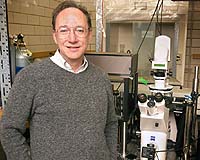 High-Fidelity Patterns Form Spontaneously When Solvent Evaporates