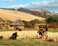 DNA helps researchers understand interactions between Stone Age cultures