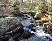 Urban Stream Contamination Increasing Rapidly Due to Road Salt
