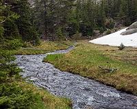 Rivers, lakes impact ability of forests to store carbon