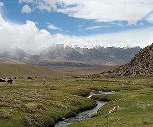 Exiled Tibetans urge world leaders to end 'crisis'