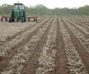 Strip-till improves nutrient uptake and yield