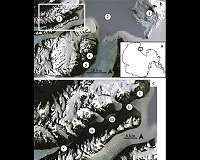 Increased water availability may release more nutrients into soil in Antarctica