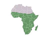 Virus stigma weighs heavily in sub-Saharan Africa