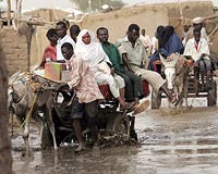 Flooding claims 187 lives in west Africa since June: UN