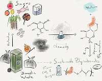 Scientists make plastic from sugar and carbon dioxide