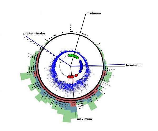 Fast changes between the solar seasons resolved by new sun clock