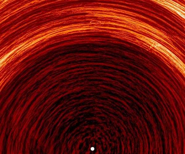 Solar Orbiter reveals rapid polar magnetic field drift on the Sun
