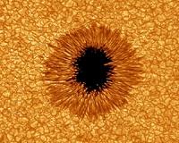 Ground-breaking images of nearby star give new insight into Sun's infancy