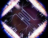 Life on the edge in the quantum world