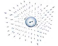 New manifestation of magnetic monopoles discovered