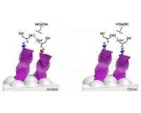 Controlling electron spin for efficient water splitting