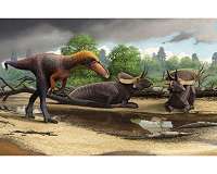 Bone analysis shows small T. rexes were kids, not distinct genus