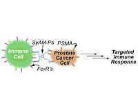 New class of synthetic molecules mimics antibodies
