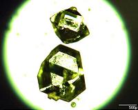 Hot 'new' material found to exist in nature