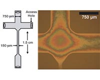 Nanoglassblowing Seen As Boon To Study Of Individual Molecules