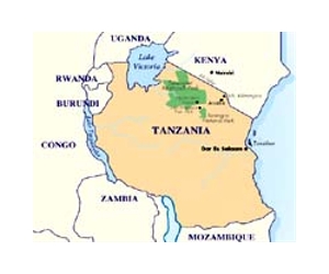 Tanzanian charged for smuggling over 1,000 elephant tusks
