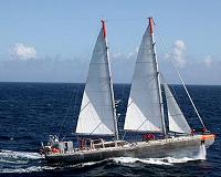 Scientists triple known types of viruses in world's oceans