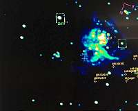 What Stars Will Hatch from the Tarantula Nebula?
