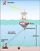 Tsunami-Hit Nations To Get Warning System