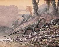 Scientists discover remains of an ancient bobcat-sized predator in Tanzania