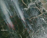 Malaysian premier vows to help Indonesia combat haze