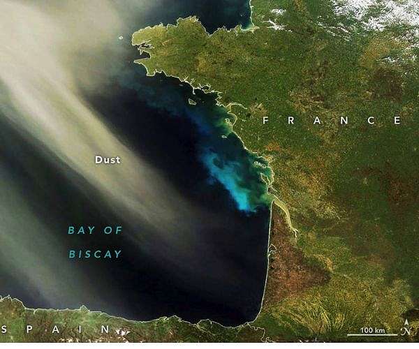How desert dust nourishes the growth of phytoplankton at sea