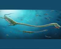 Ancient fossil reveals first evidence of live birth in animals thought to lay eggs
