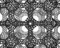 Long-sought carbon structure joins graphene, fullerene family