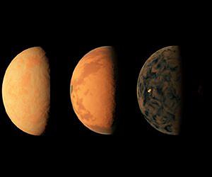 The State of Super Earths