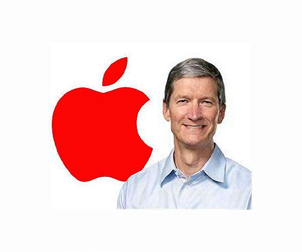 Apple profit climbs but sales miss expectations