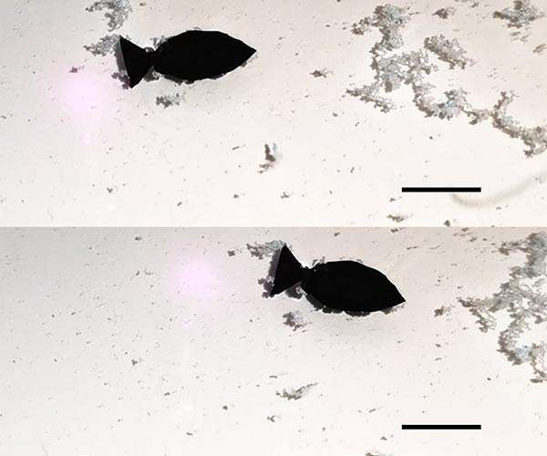 Tiny fish-shaped robot 'swims' around picking up microplastics