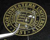 New method to detect ultrasound with light