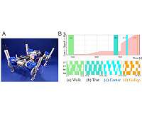 Quadruped robot exhibits spontaneous changes in step with speed