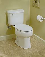 Japan hails toilet diplomacy with China