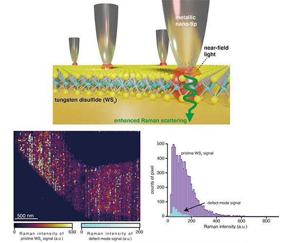Towards stable, sustained Raman imaging of large samples at the nanoscale