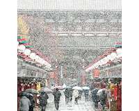 Tokyo gets November snow for first time in 54 years