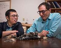 Cold climates and ocean carbon sequestration