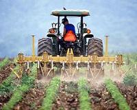 Green economy to boost jobs but farmers hard hit: UN