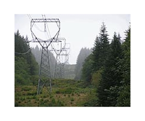 Member-Owned Electric Co-op Practices Examined